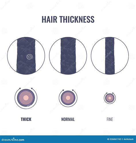 thick hair thread test|thick or thin hair chart.